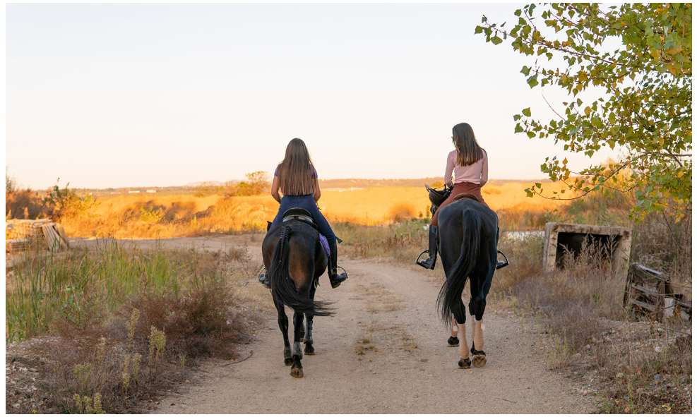 Horses and DUI